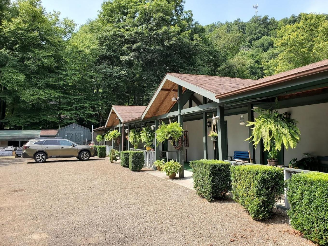 Lodge At Mount Mitchell Busick 外观 照片